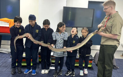 Reptile Encounters Primary EAL students