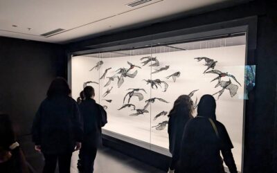 VAMM Excursion: NGV International