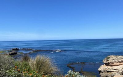 Future of Our World: Coastal Fieldwork